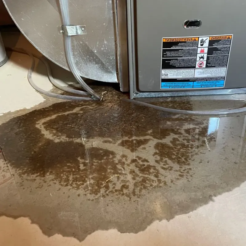 Pipe Burst and Leak Restoration in Williamsburg, NY